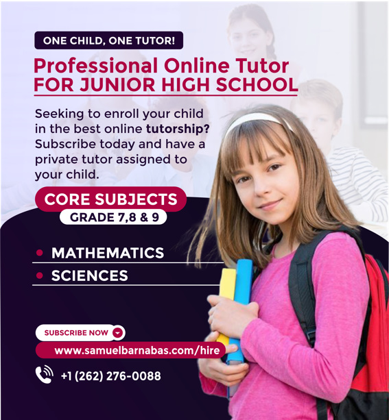 Professional Online Tutor Junior High School