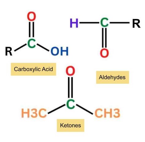 Aldehydes, Ketones and Carboxylic Acids