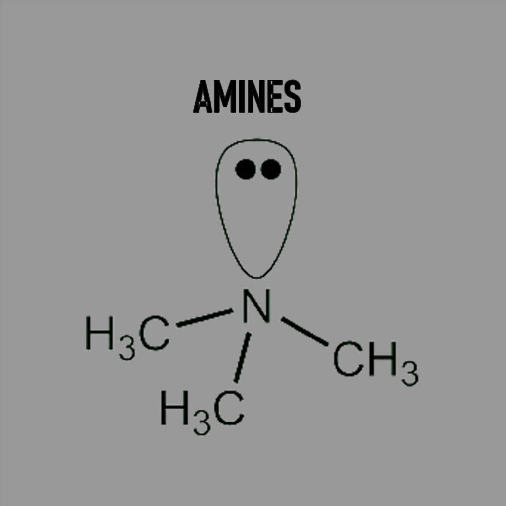 Amines