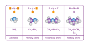 Amines