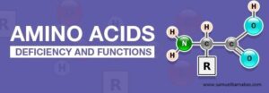 Amino-Acids-3