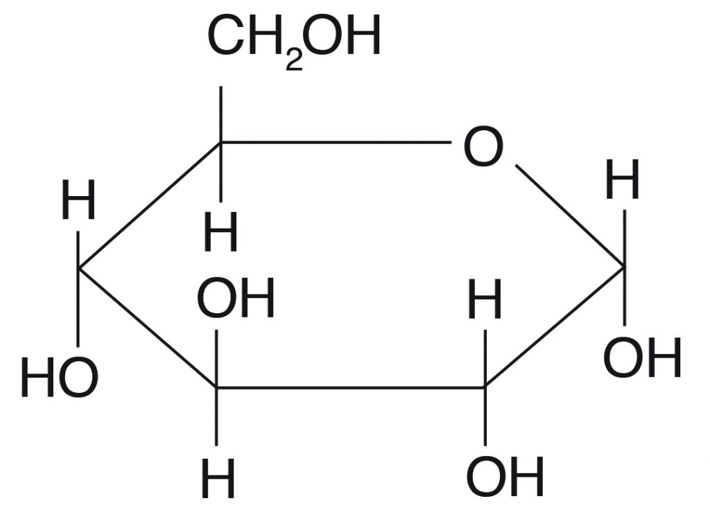 Carbohydrate Structure