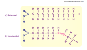 Lipids structural formular